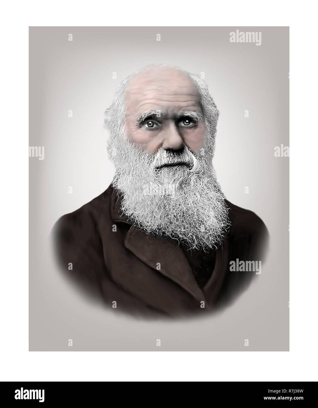 Charles Darwin 1809 - 1882 englischen Naturforscher Stockfoto