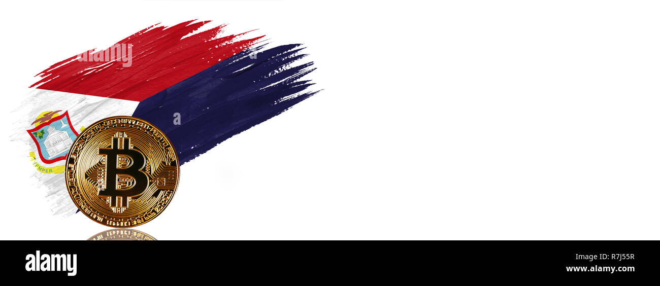 Malte Pinselstrich in der Flagge von Saint Martin. Bitcoin cryptocurrency Banner mit auf weißem Hintergrund mit Platz für Ihren Text isoliert. Stockfoto