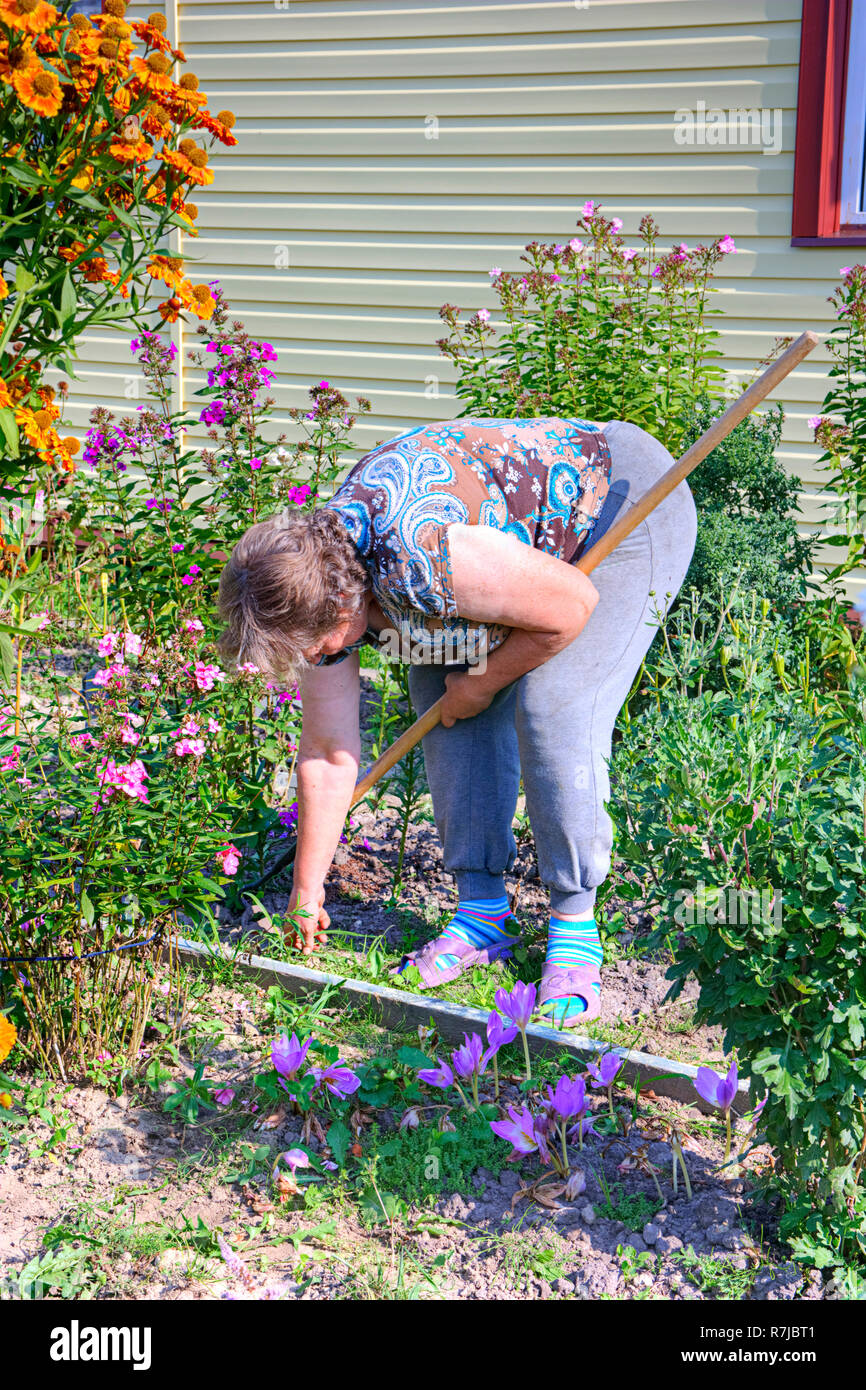 Eine Frau arbeitet im Garten in der Hütte Stockfoto