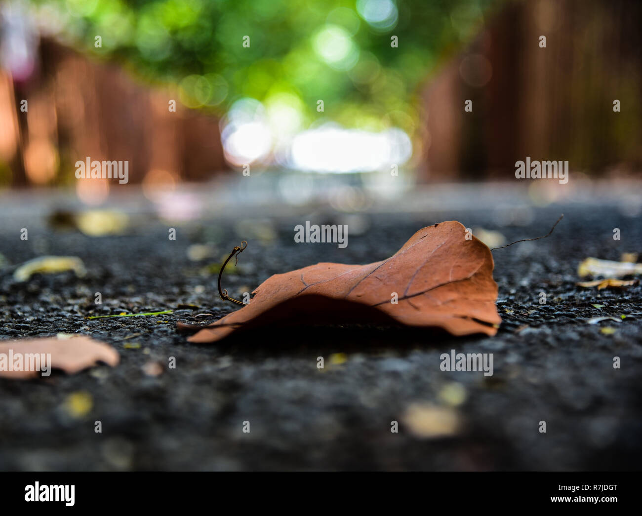 Tag im park Stockfoto