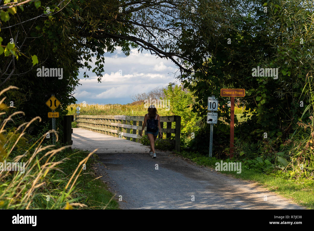 Eine hölzerne Brücke an die Iles-de-Boucherville Nationalpark in Quebec, Kanada. Eine Frau, die zu Fuß entfernt. Stockfoto