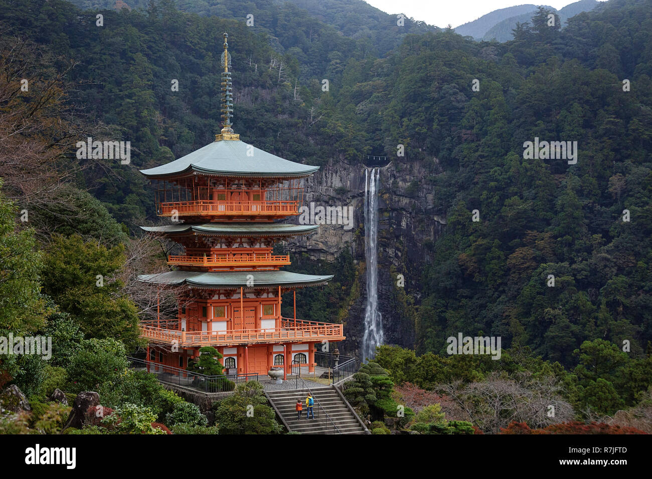 Mutter und Sohn in gelben Jacken wandern tNachisan Seiganto-ji-Pagode in Kumano Nachi Schrein mit Nachi fällt im Hintergrund, Wakayama, Japan, Asien Stockfoto