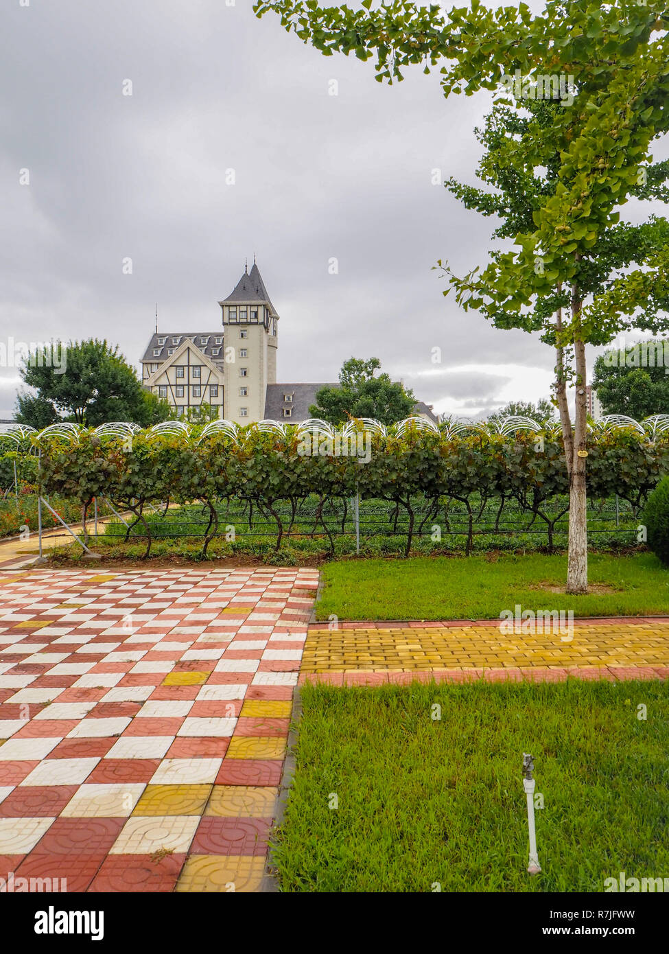 August 2018 - Yantai China: Die Burg und die Weinberge des bekannten chinesischen Wein Marke Changyu, der größte Hersteller in China. Stockfoto