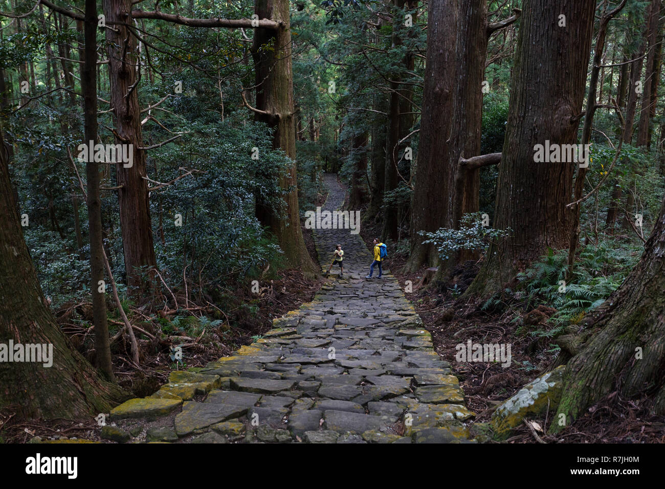 Mutter und Sohn wandern die Kumano Kodo bei Daimon-zaka, einem heiligen Trail als UNESCO-Weltkulturerbe im Nachi, Wakayama, Japan bezeichnet. Stockfoto