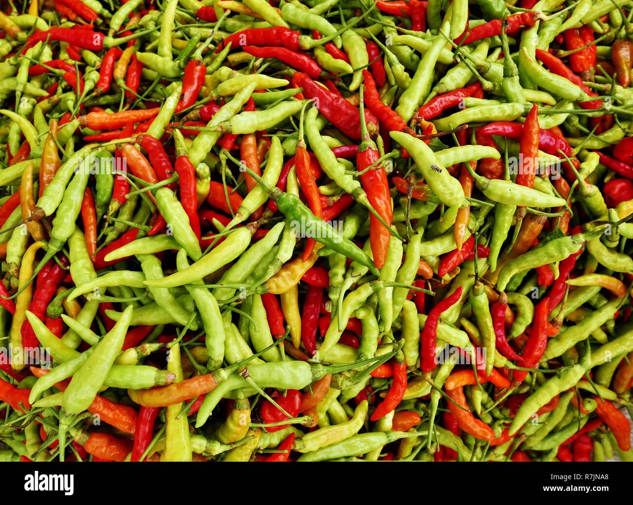 Rote und grüne Chili Papiere. Scharfes Essen Zutaten. Bunte essen. Stockfoto