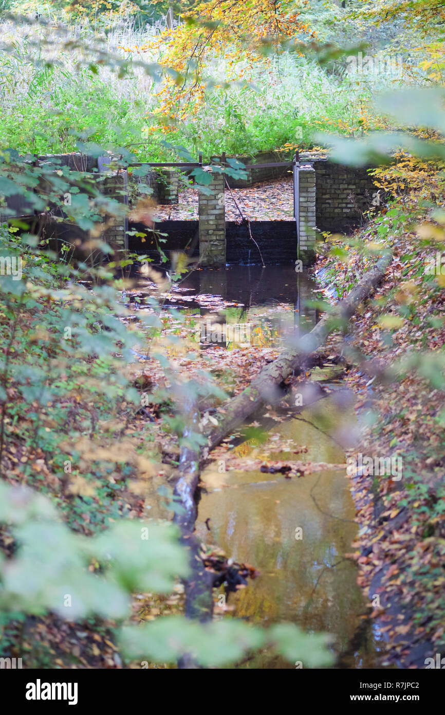 Die Waterloopbos, übersetzt: Wasserleitung Wald, ist ein faszinierendes Ort der Niederländischen Industriekultur: ein schöner Wald, mit den Resten der Stockfoto