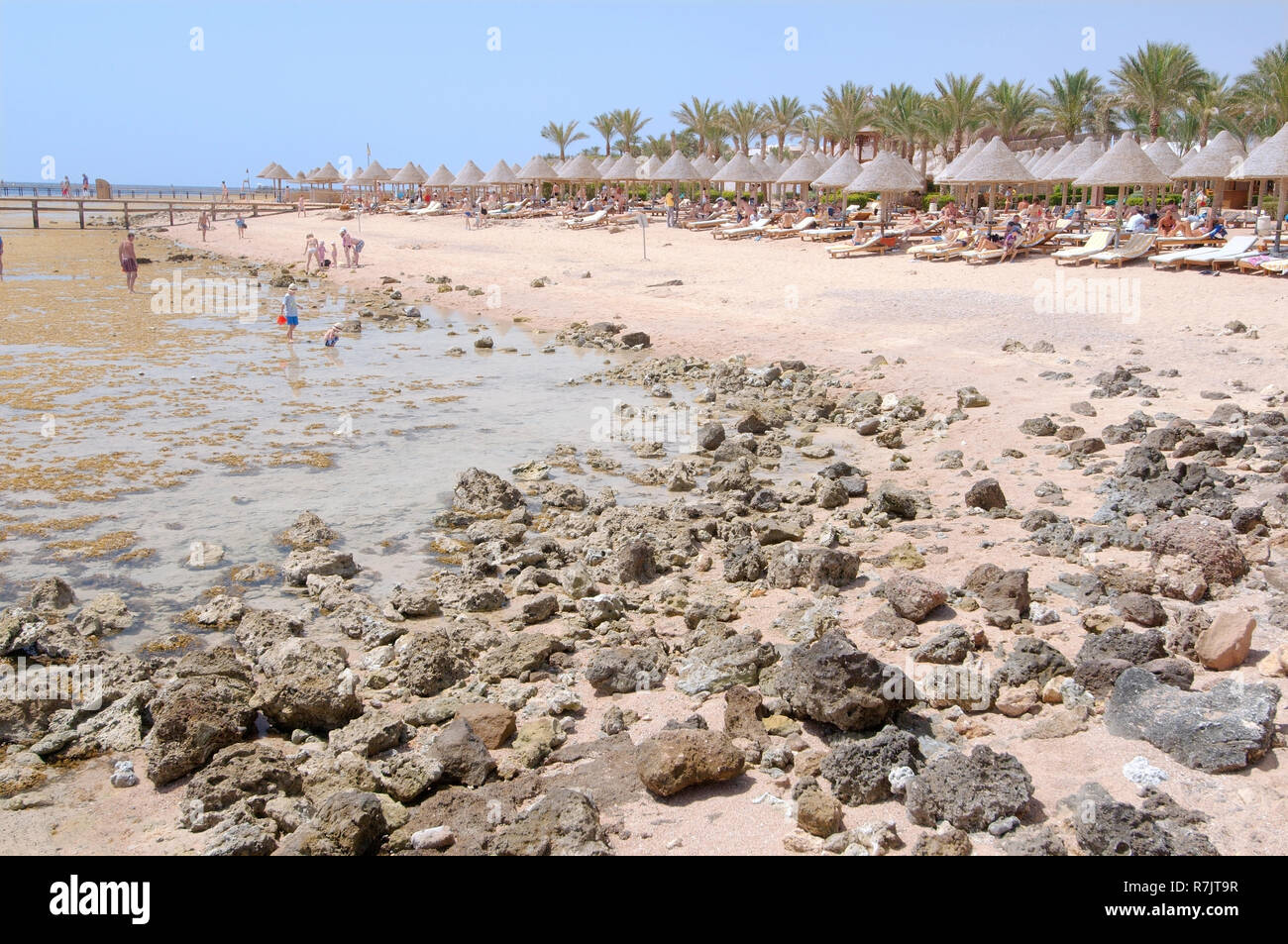 Ebbe am Coral Beach, Sharm el Sheikh, South Sinai Governorate, Ägypten Stockfoto