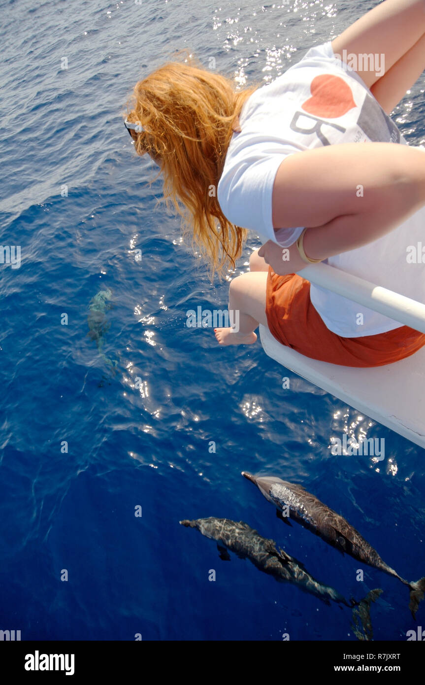 Rothaarige Frau an Delphine suchen, Indopazifischen Großen Tümmler (Tursiops aduncus), Rotes Meer, Sharm el-Sheikh Stockfoto