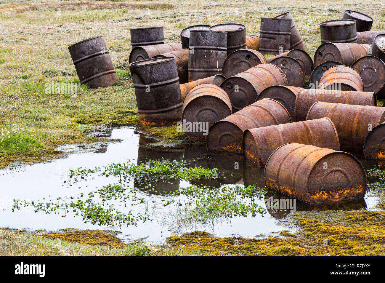 Rostige Fässer in der Tundra, tschukotka Autonomen Okrug, Russland Stockfoto