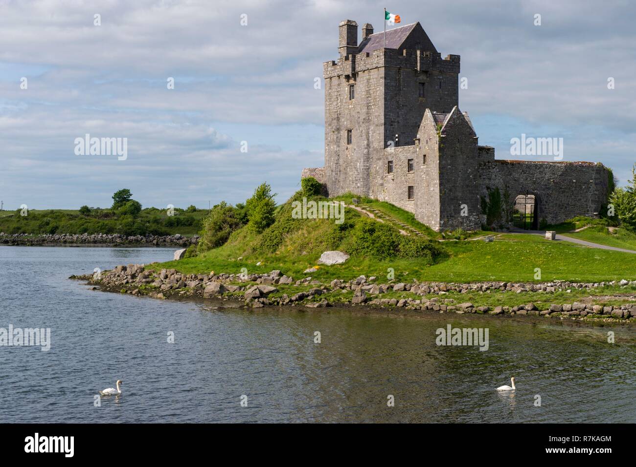 In der Republik Irland, im County Galway, Galway, Dunguaire Castle Schloss aus dem 16. Jahrhundert Stockfoto