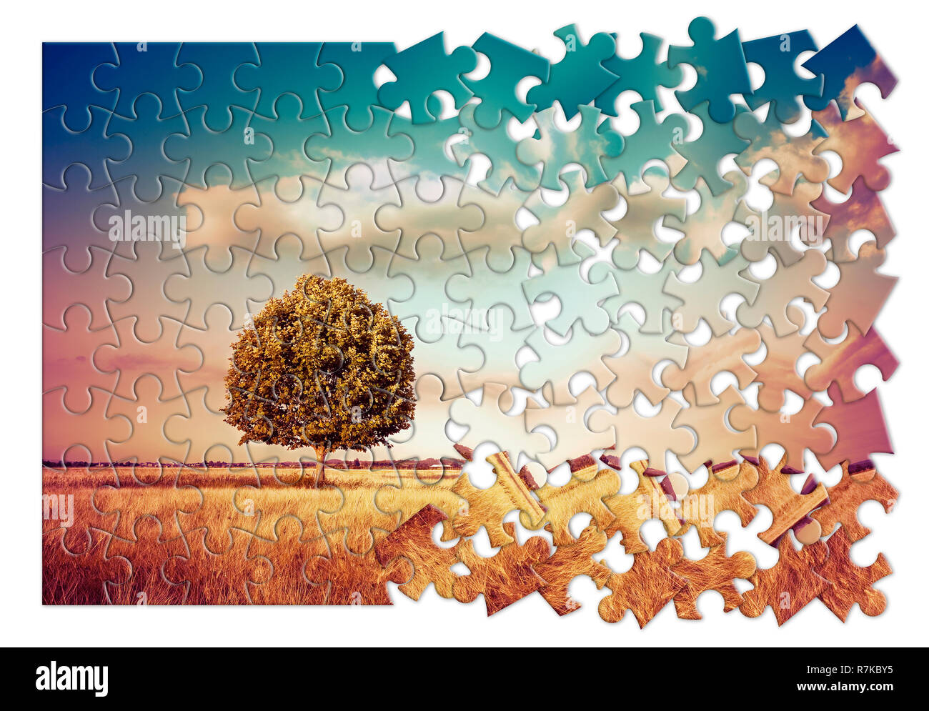 Isolierte Baum in einer ländlichen Szene in der Toskana (Italien) - Umweltschutz Konzept Bild im Puzzle Form Stockfoto
