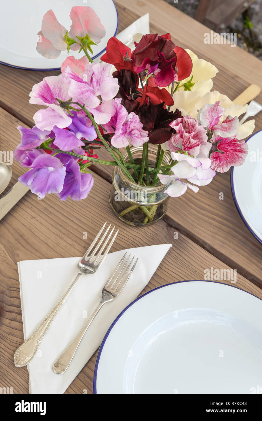UK. Ein Marmeladenglas mit frisch gepflückten süssen Erbsen gefüllt schmückt ein Garten Tisch gelegt für eine einfache Mahlzeit im Freien im Sommer. Stockfoto