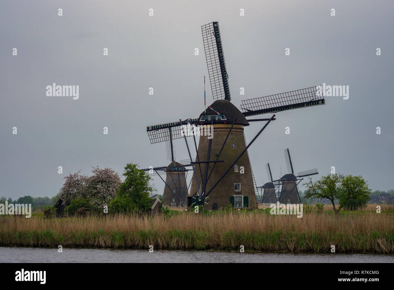 Vier Windmühlen in einer landschaftlich reizvollen Umgebung in Kinderdijk, Niederlande. Diese Gruppe von Mills ist die größte Konzentration von alten Windmühlen in den Niederlanden. Stockfoto