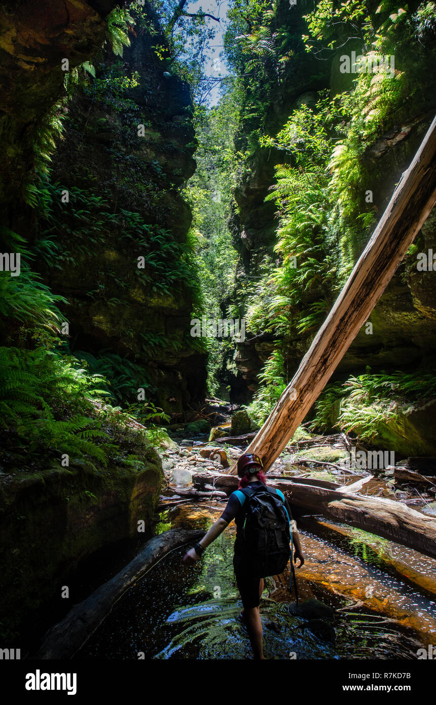 Canyoning in den Blue Mountains. Stockfoto
