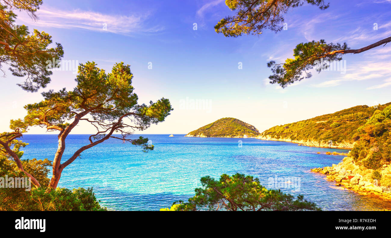 Elba Insel Meer, Portoferraio Viticcio Strandküste und mediterranen Pinien Toskana, Italien, Europa. Stockfoto