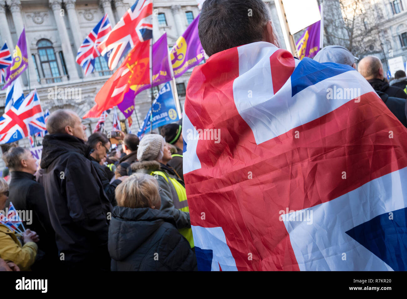 Pro Brexit Rallye organisiert von Ukip und Tommy Robinson an der 'Verrat an Brexit" protestieren, wie sie das Abkommen zwischen der Mai Tory Regierung und der EU vereinbart. London, UK, 9. Dezember 2018. Credit: Mike Abrahams/Alamy leben Nachrichten Stockfoto