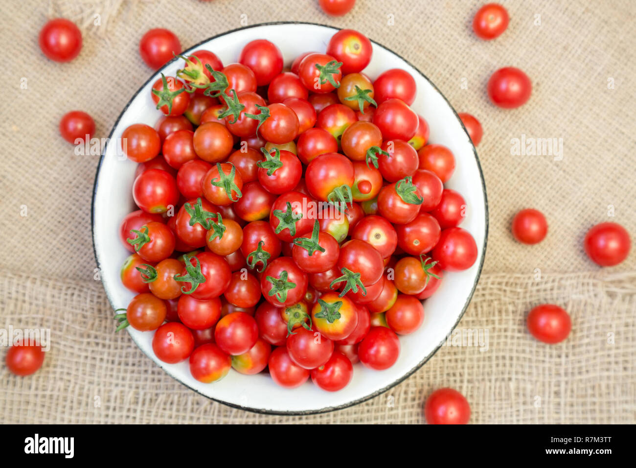 Kirsche Tomaten in eine Schüssel Reif Stockfoto