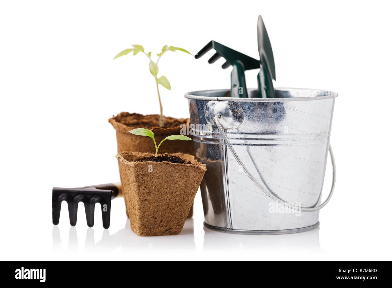Garten Werkzeuge mit Pflanzgut von Tomaten und Paprika auf weißem Hintergrund, Nahaufnahme Stockfoto