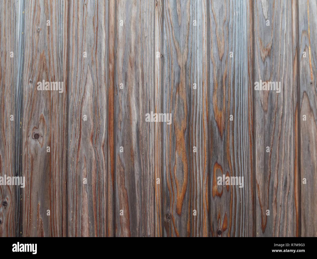 alte Holz-Textur Stockfoto
