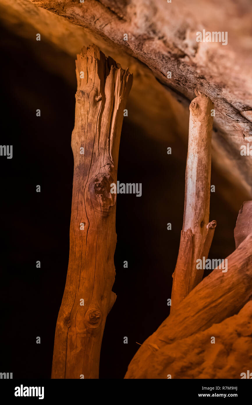 Eine freiliegende Wand zeigen jacal Bau Technik der Beiträge und Schlamm im Moon House Ruin auf Cedar Mesa, der Ancestral Puebloan Menschen und onc gebaut Stockfoto