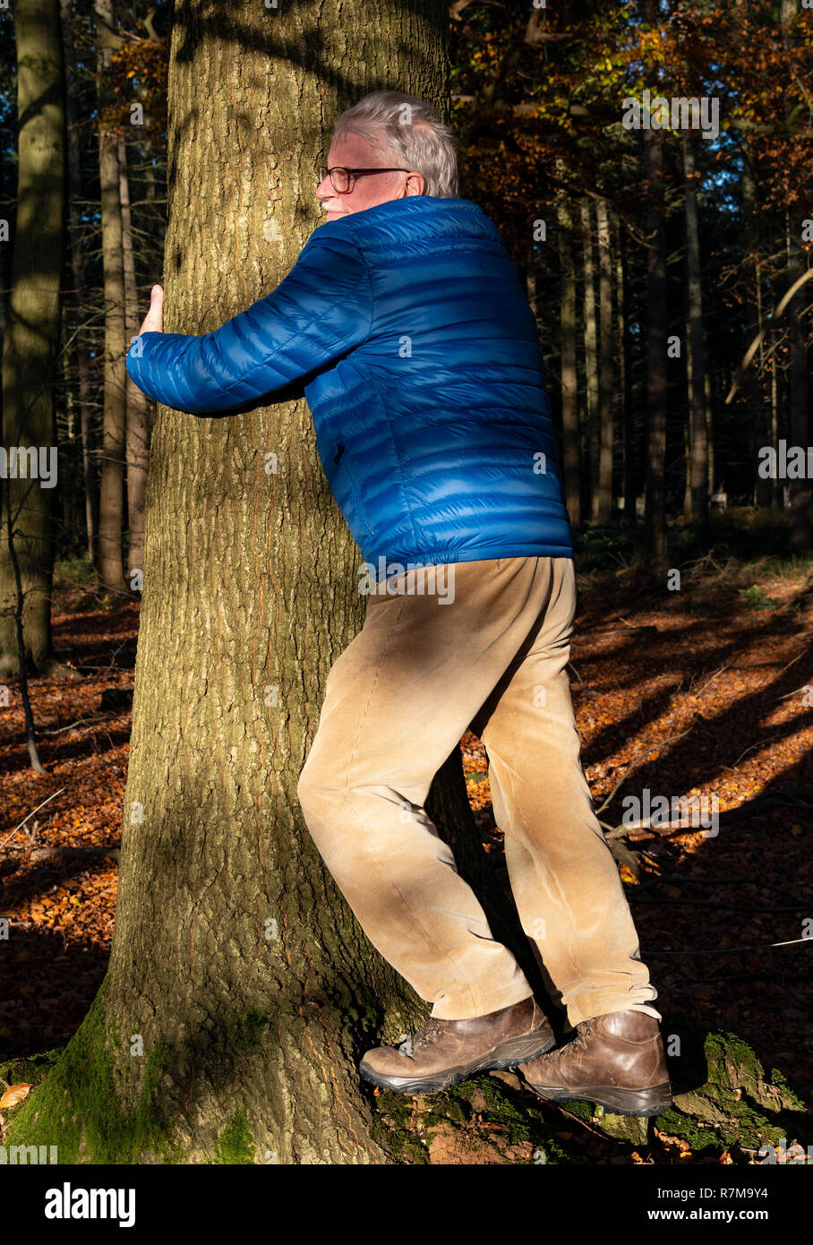 Reifer Mann umarmt einen Baum in einem Wald in Checkendon, South Oxfordshire, England, Großbritannien Stockfoto