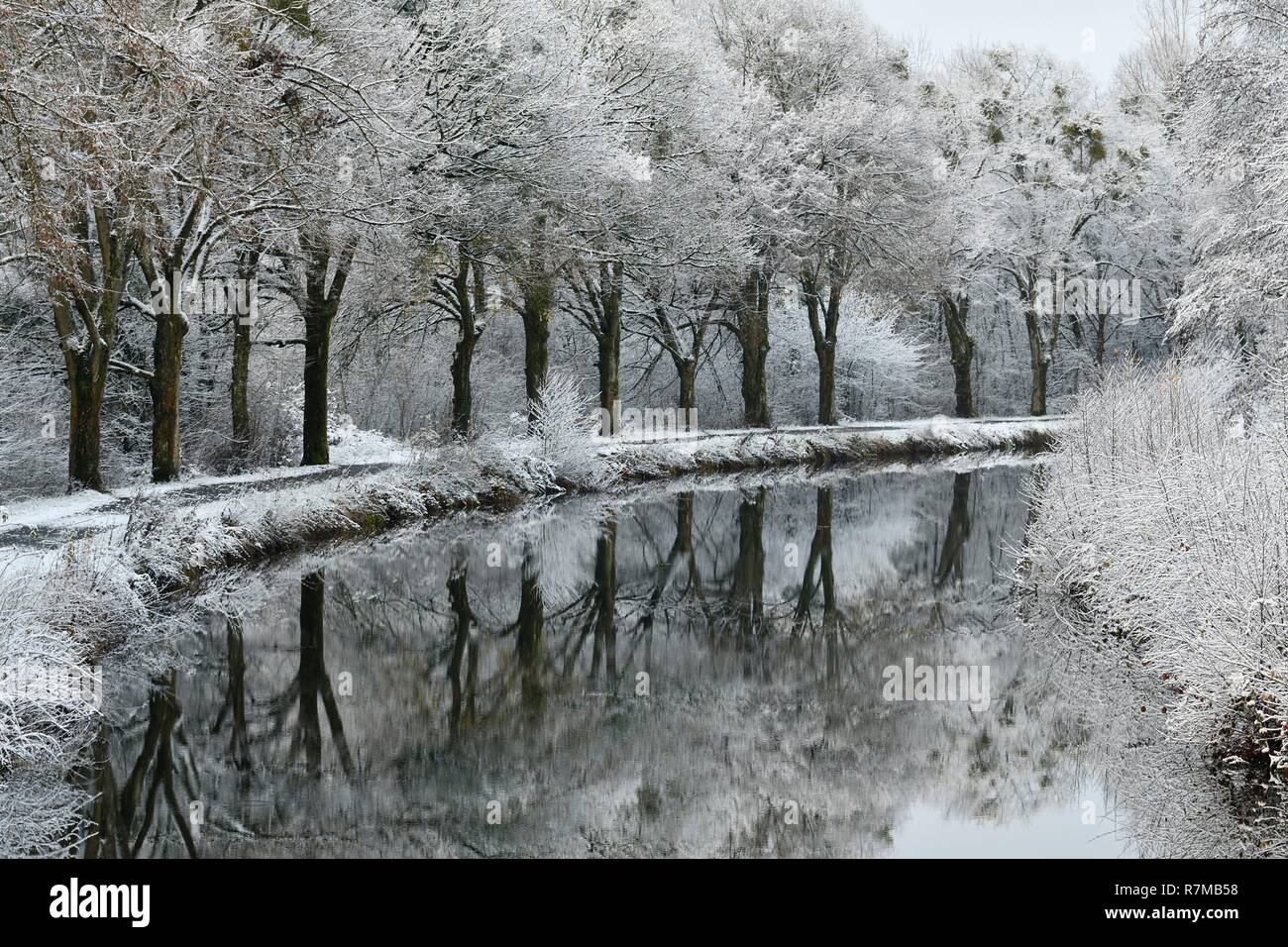 Frankreich, Doubs, Nommay, Kanal des Haut Saone im Winter unter dem Schnee, schleppen in Green Casting angelegten Stockfoto