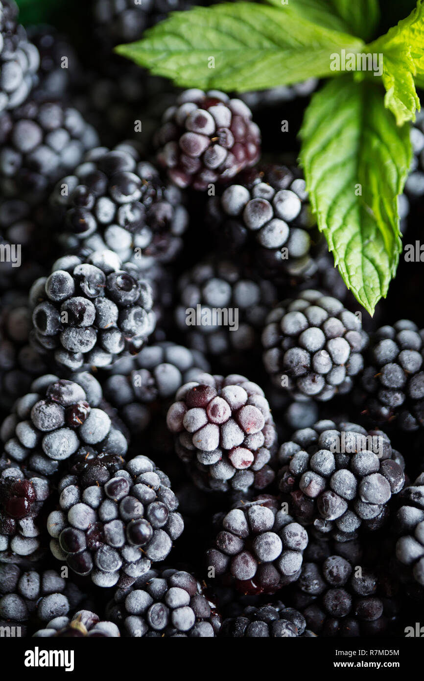 Brombeeren Stockfoto