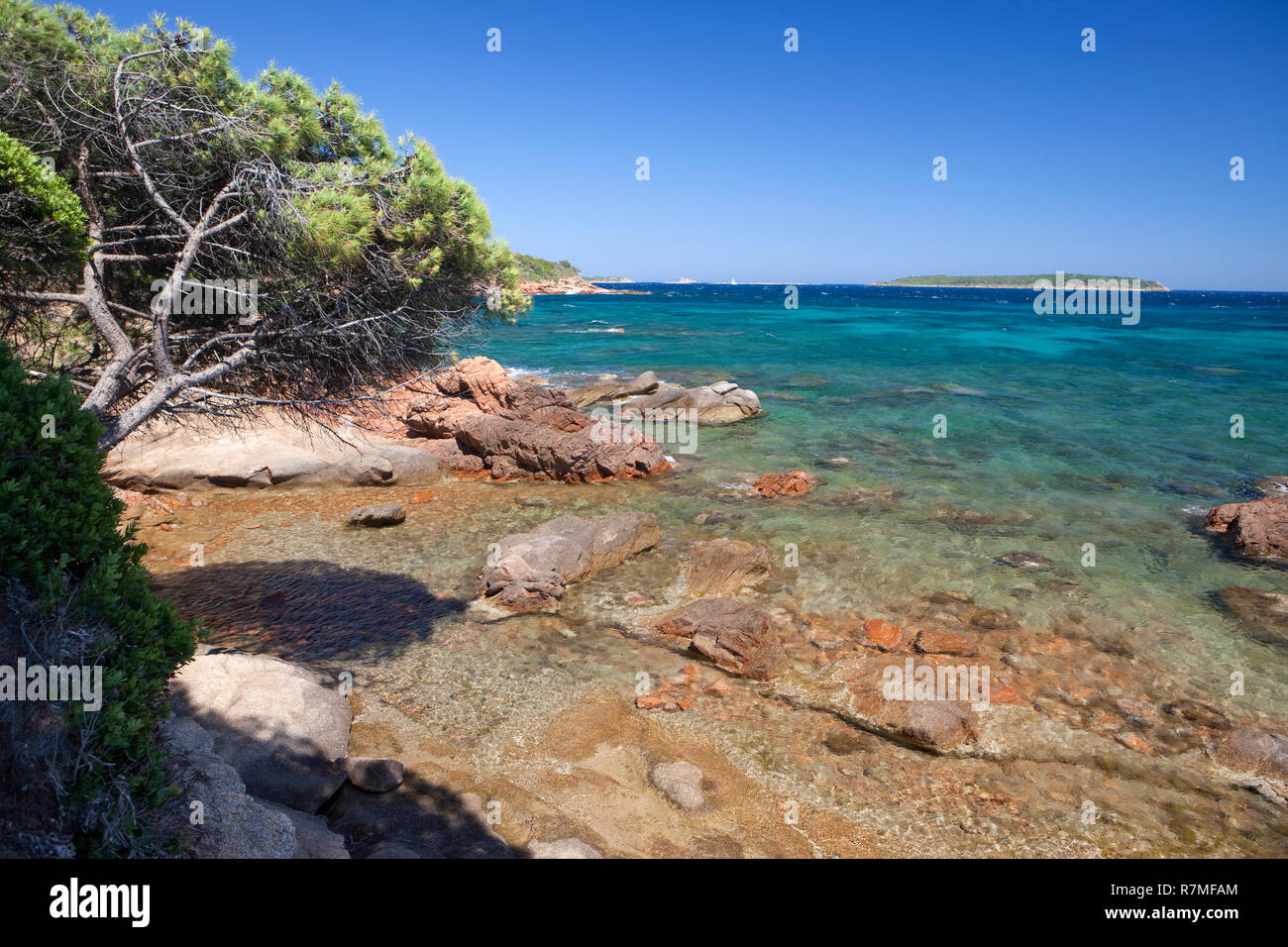 Felsen und Bäume in der Nähe von Palombaggia auf der Insel Korsika. Stockfoto