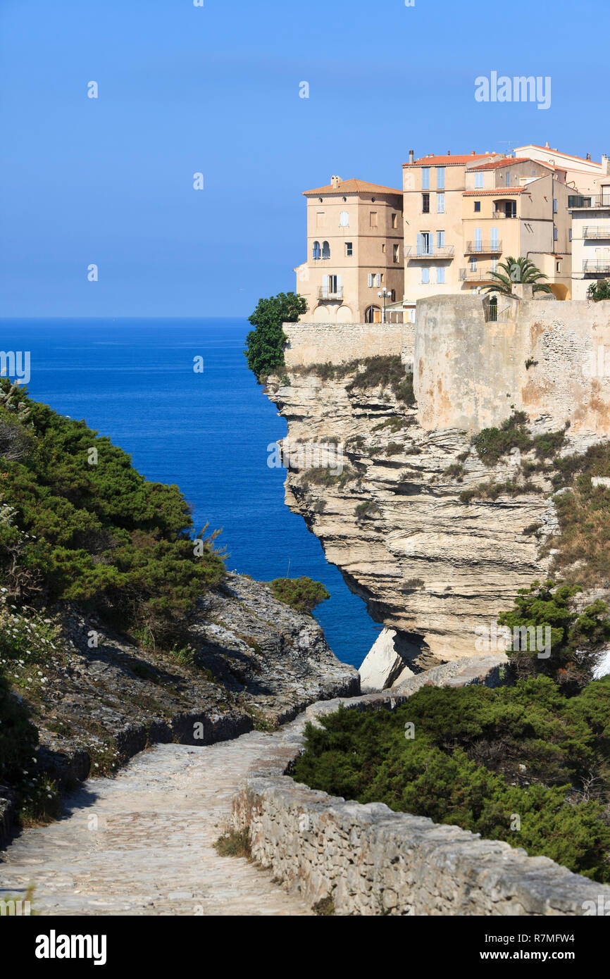 Häuser auf steilen Felsen mit Überstand in Bonifacio, Korsika, Frankreich. Mittelmeer. Stockfoto