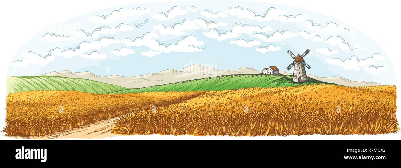 Landwirtschaftlichen Feld mit reifen Weizen auf dem Hintergrund der Mühle, das Dorf und die Wolken. Farbe Vector Illustration Stock Vektor