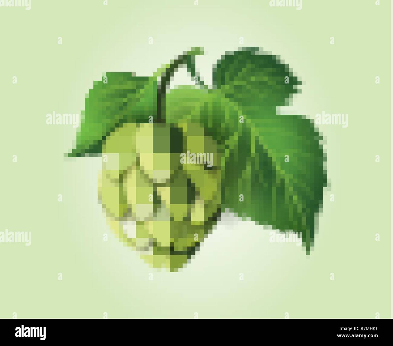 Vektor realistische Bier grün Hopfenzapfen, Blätter mit Stammzellen. Isolierte Abbildung auf einem farbigen Hintergrund. Beliebte Alkohol trinken, Brauerei industrie floral Symbol Stock Vektor