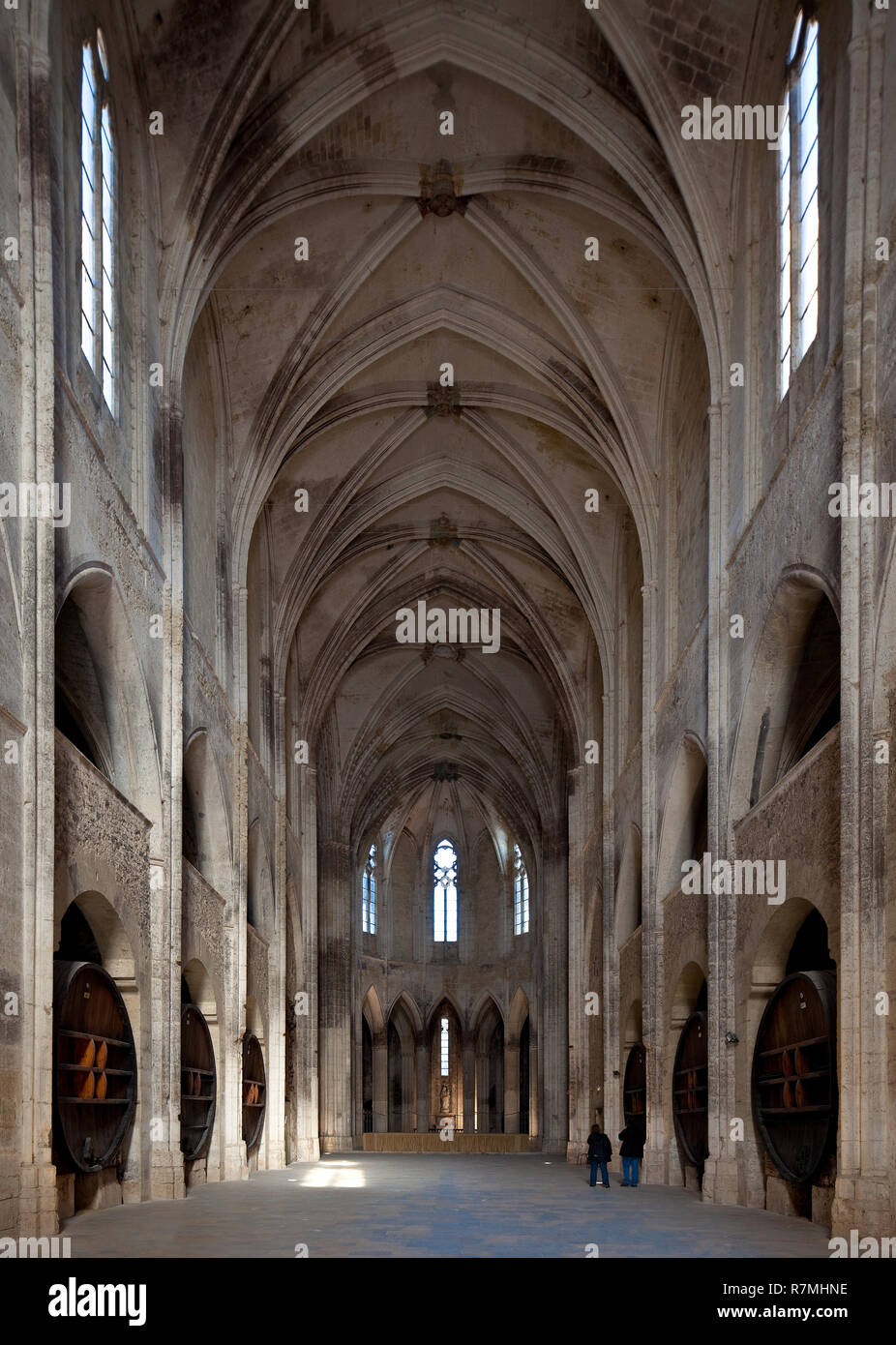 Valmagne bei Montpellier, Abteikirche, Innenraum nach Osten mit Weinfässern in den Seitenschiffen Stockfoto