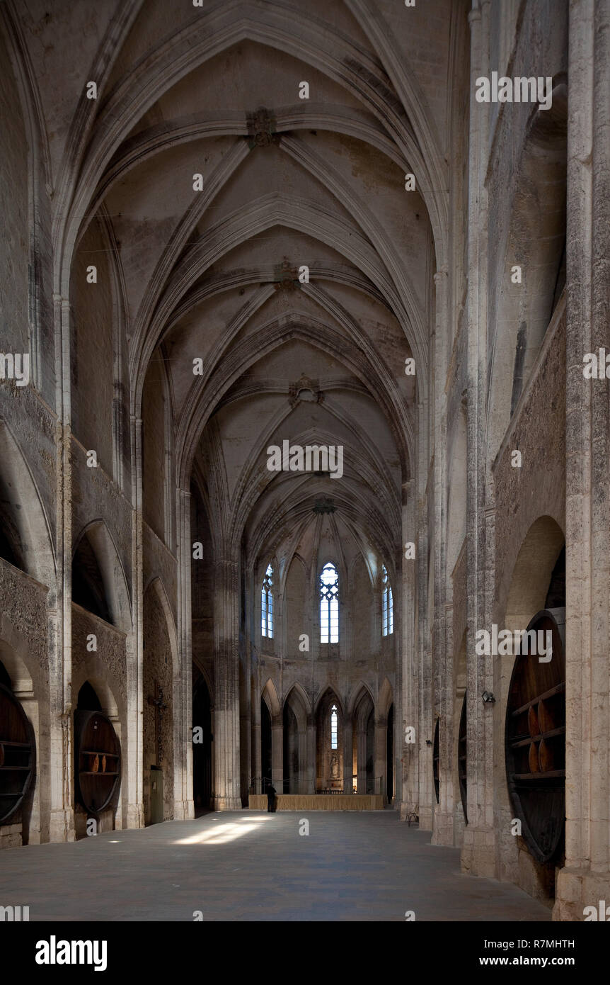 Valmagne bei Montpellier, Abteikirche, Innenraum nach Osten mit Weinfässern in den Seitenschiffen Stockfoto