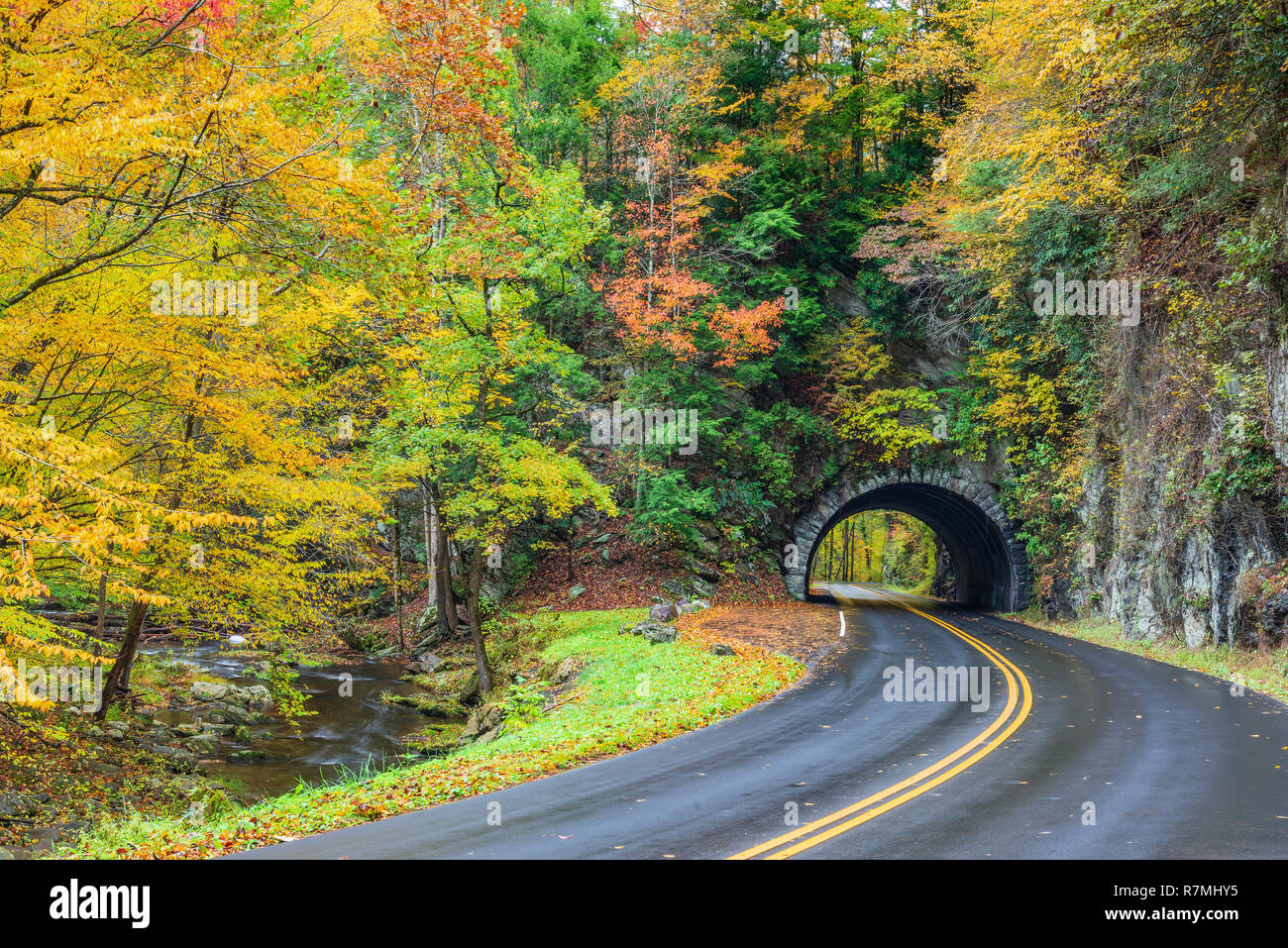 Ein Weg zu einem Smoky Mountain Tunnel geschwungene mit bunten Herbst Laub. Stockfoto
