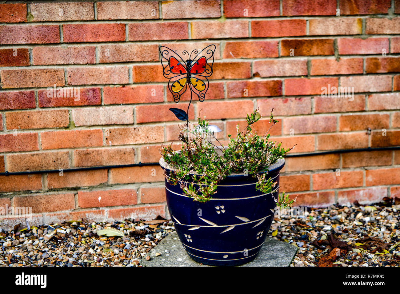 Blue Flower Pot mit Heidekraut vor dem Hintergrund einer Red brick wall, dekorativer Schmetterling Stockfoto