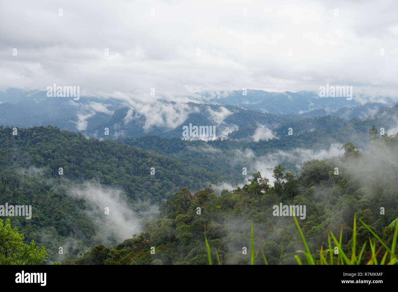 Tropische Gebirgsstrecke anzeigen. Blick auf den ziehenden Wolken und Nebel über Titiwangsa Mountain Range. Angesichts der hohen Luftfeuchtigkeit Dschungel Regenwald an der Königlichen werden Stockfoto