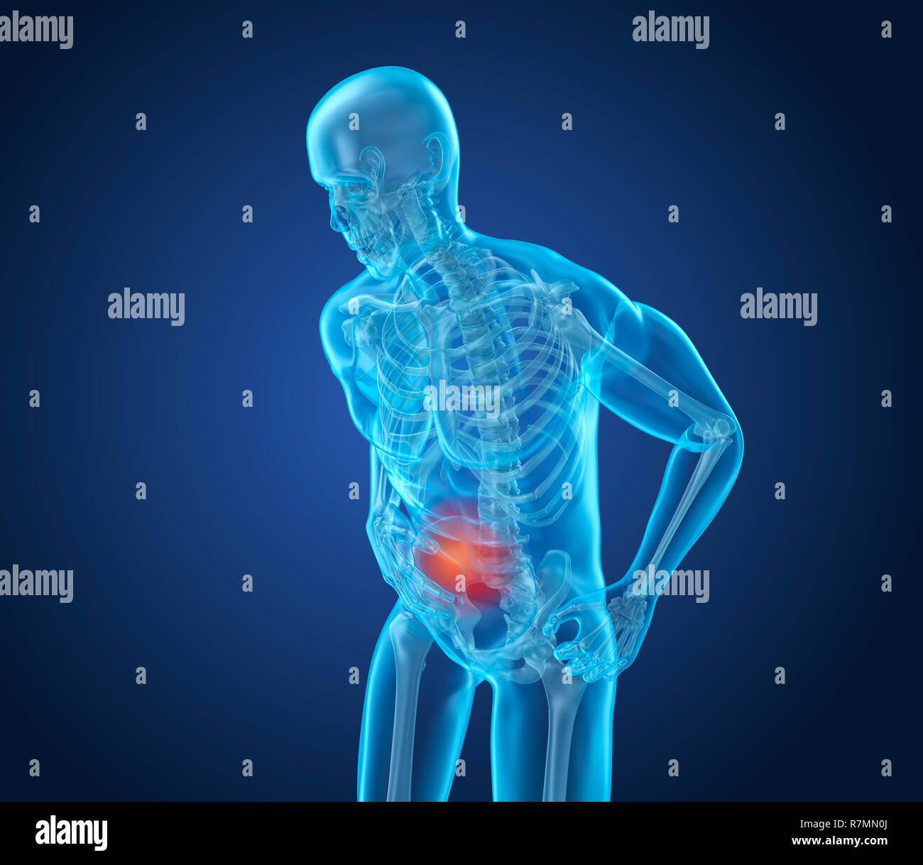 Histologie leber -Fotos und -Bildmaterial in hoher Auflösung – Alamy