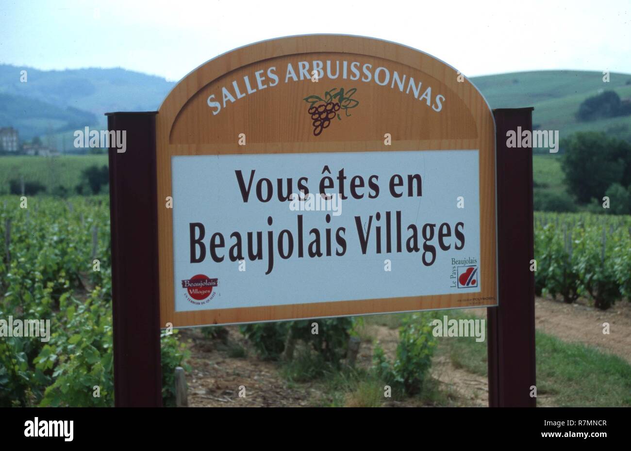 Weingut in Burgund, Frankreich. Stockfoto