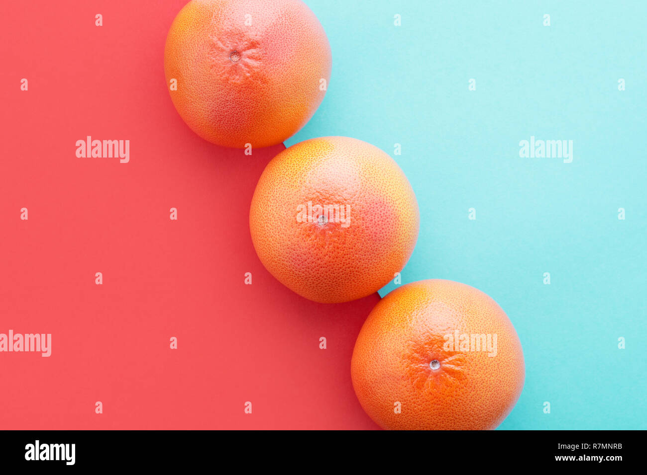 Grapefruits auf lebende Korallen & Pastell-blaue Farbe diagonale Hintergrund. Minimale Sommer Konzept flach. Jahr 2019 Stockfoto