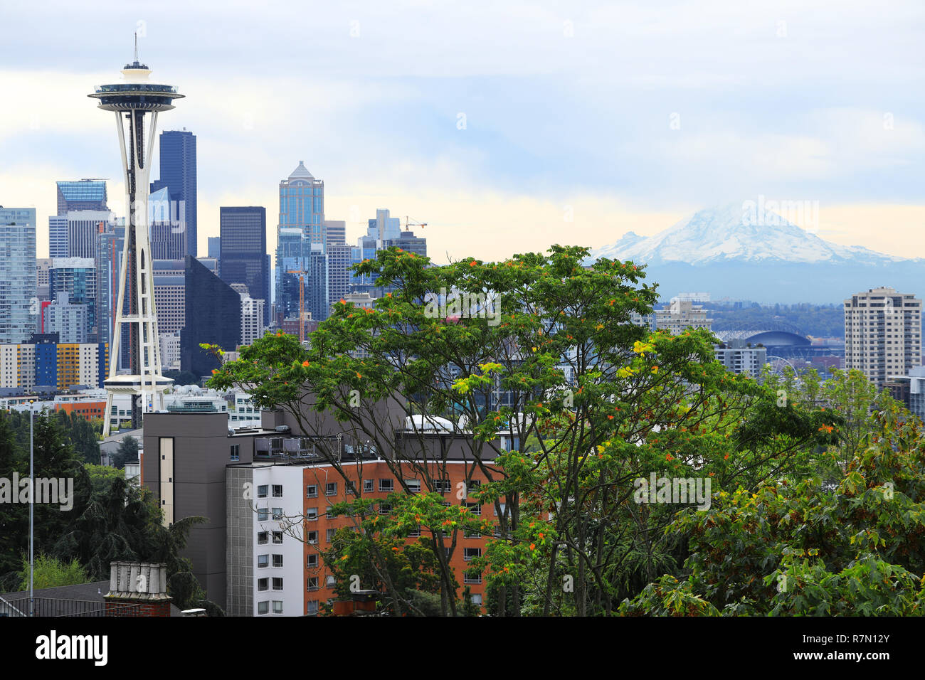 Blick auf die Skyline von Seattle, Washington, Mount Ranier Stockfoto