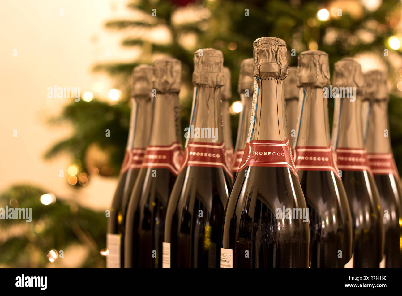 Prosecco Flaschen vor dem Christbaum mit Lichtern geschmückt Stockfoto