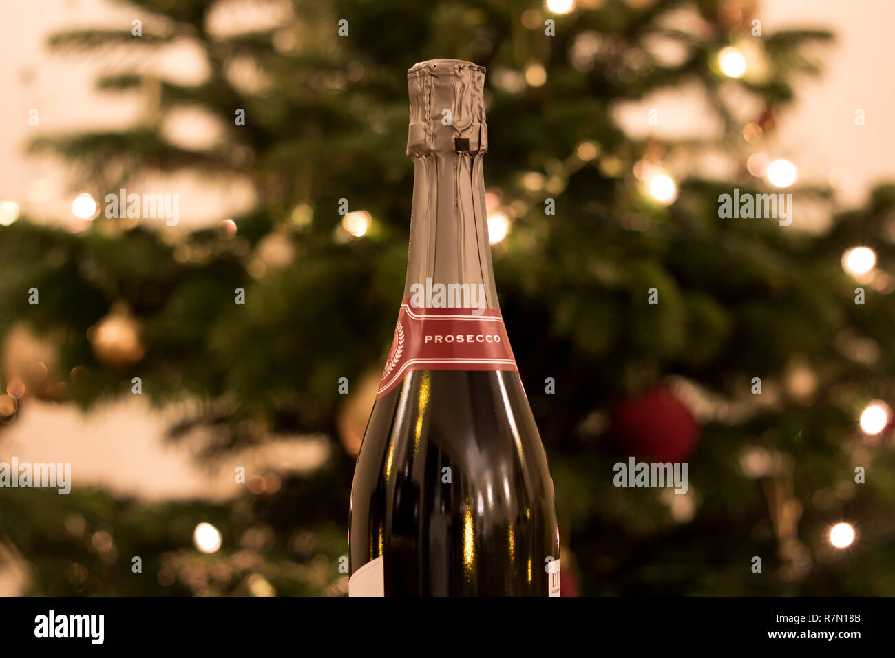 Prosecco Flasche vor dem Christbaum mit Lichtern geschmückt Stockfoto