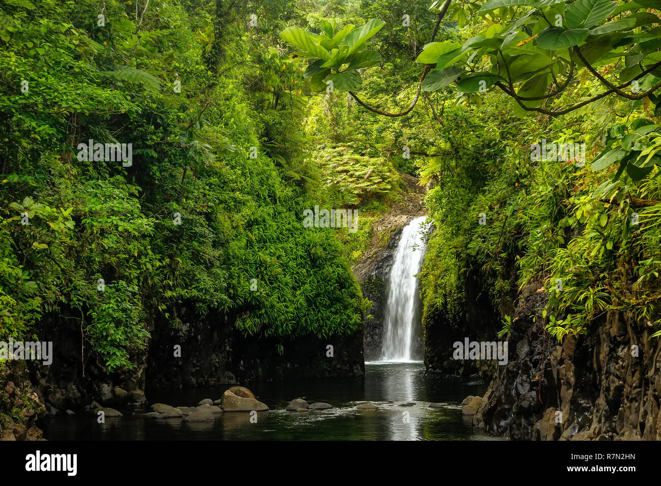 Wainibau-Wasserfall am Ende der Lavena Coastal Walk auf Taveuni Island, Fidschi. Taveuni ist die drittgrößte Insel in Fidschi. Stockfoto