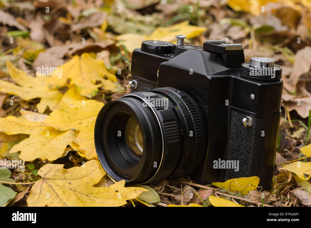 Schwarz retro Kamera mit gelben Blätter im Herbst im Wald. Stockfoto