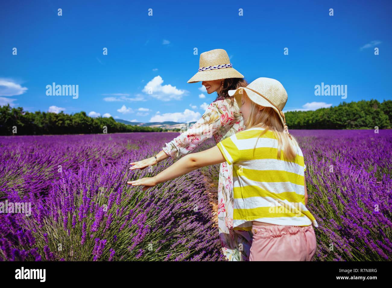 Stilvolle Mutter und Kind im lavendelfeld in der Provence, Frankreich berühren Lavendel. Mont Ventoux, Luberon Apt und Gordes oder geben Ihnen unglaubliche Bild Stockfoto