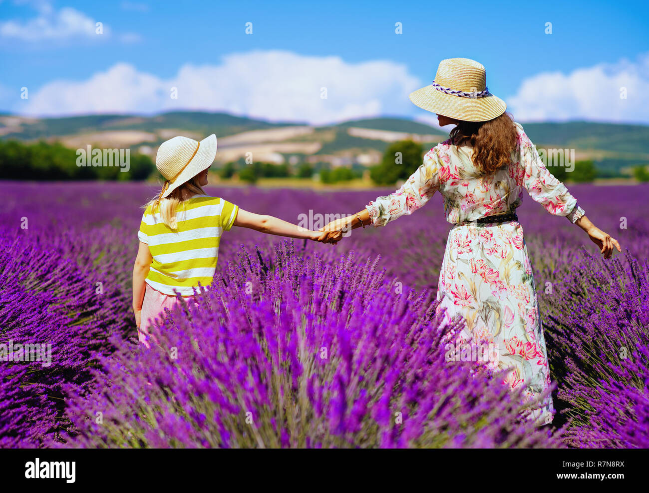 Hinter der jungen Mutter und Tochter im lavendelfeld in der Provence, Frankreich stand halten sich an den Händen. Familie in Agrotourismus Reisen in den Süden von Stockfoto