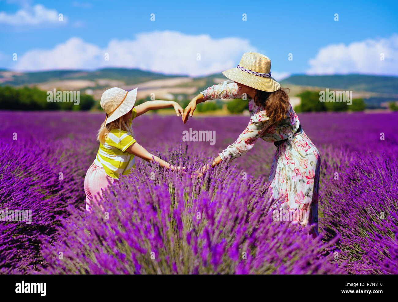 Trendy Mutter und Kind Herz mit Hände an lavendelfeld in der Provence, Frankreich. Provence ist am besten Landschaft inspirieren, Mutter und Kind memorab zu erhalten Stockfoto