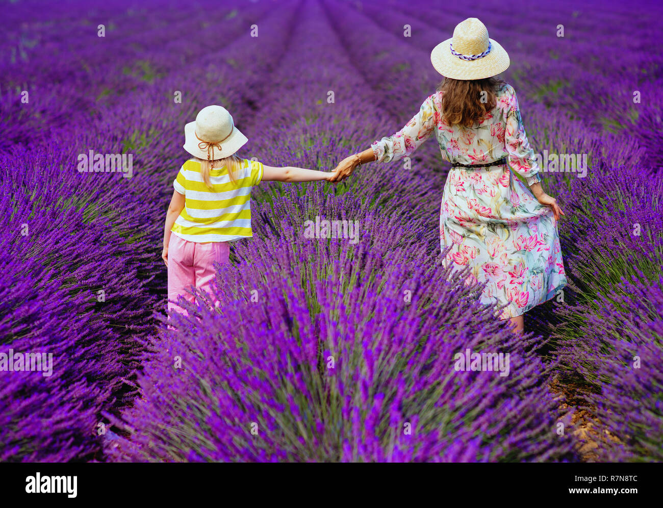 Hinter der stilvollen Mutter und Tochter im lavendelfeld in der Provence, Frankreich stand halten sich an den Händen. Familien genießen Sie fesselnde und Pea Stockfoto