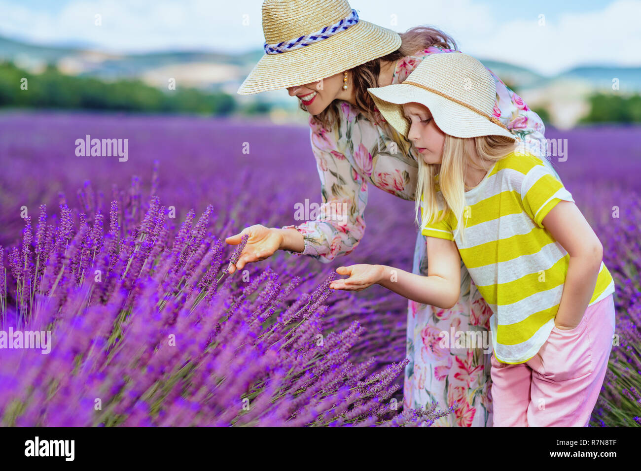Moderne Mutter und Tochter berühren Lavendel gegen Lavendelfeld in der Provence, Frankreich. Lavendel kann Kopfschmerzen lindern. Was können wir sonst noch beim Lernen Stockfoto