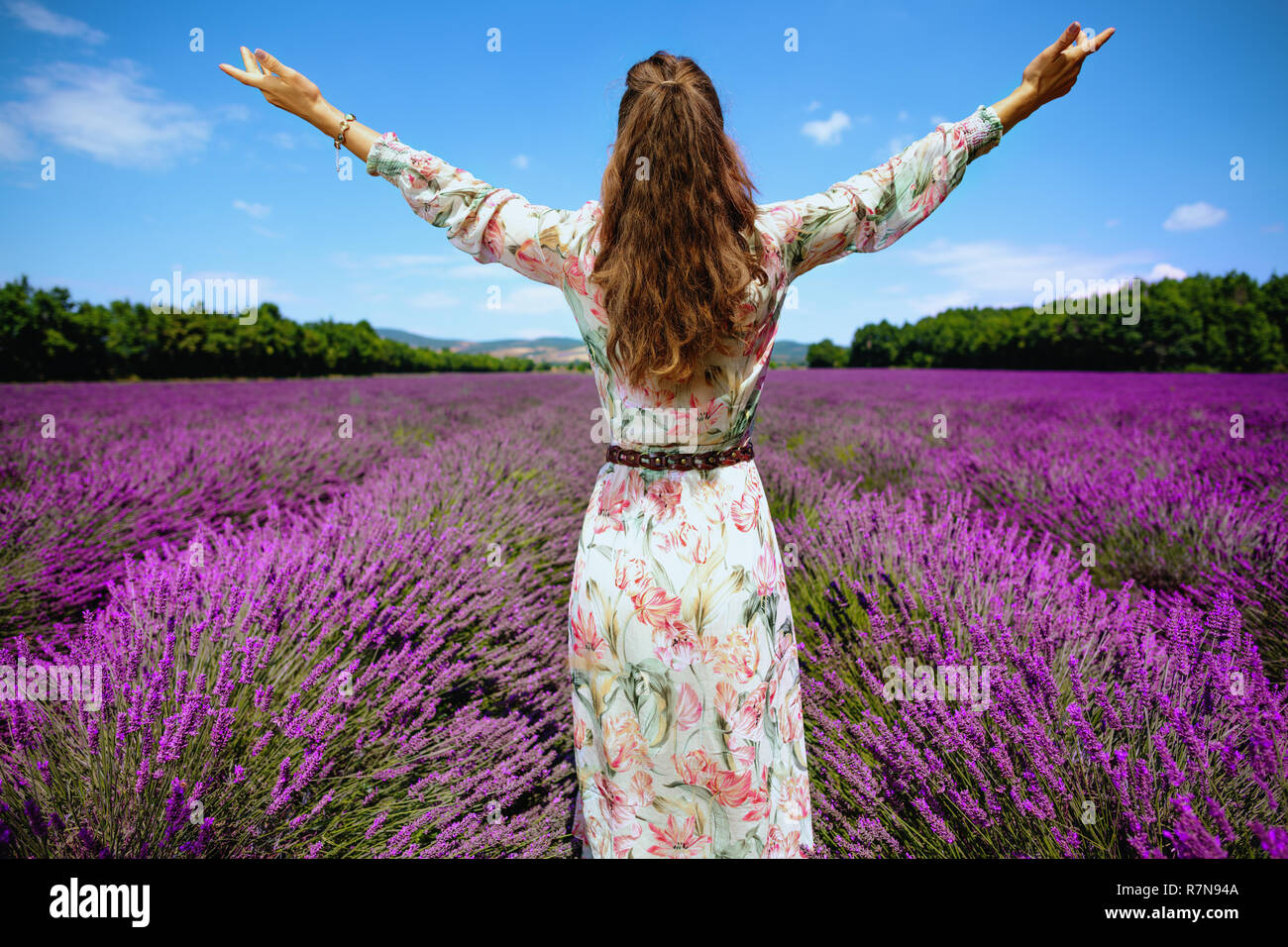 Hinter der modernen Frau in lavendelfeld in der Provence, Frankreich freuen. Provence Attraktionen. malerischen Hochplateau. Tourist-freundlichen Region. Verbindlich Stockfoto